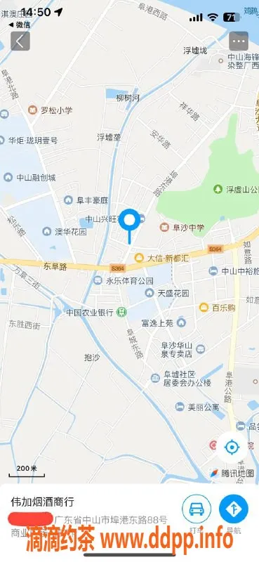 中山楼凤-埠沙新晋楼凤，300快餐魅力四射！