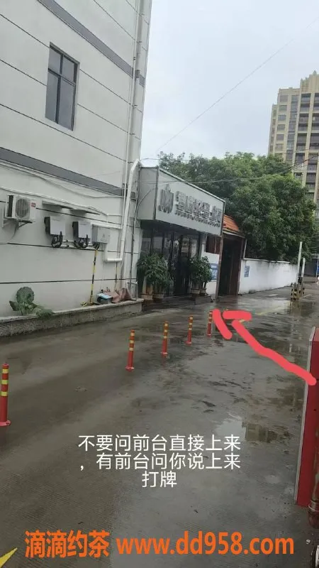 中山楼凤资源信息,民众10月21日 高颜值媳妇 300快餐服务