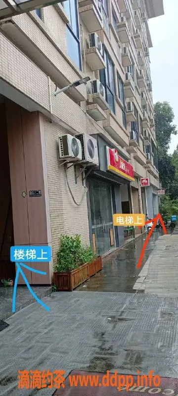 中山楼凤-古镇优质洗吹服务 仅需300元