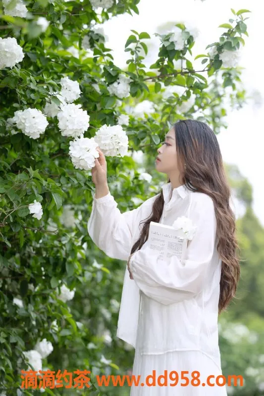 成都楼凤-武侯区可夏，少妇大奶特惠服务