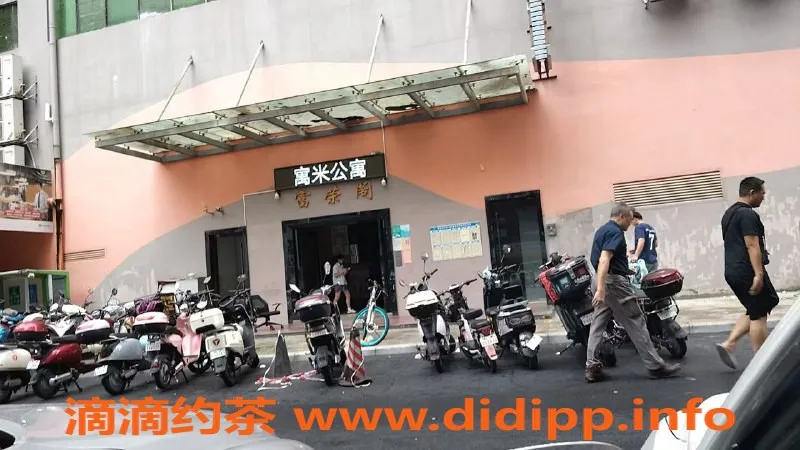 中山楼凤资源信息,西区富华道10号 300元快餐服务3位小姐