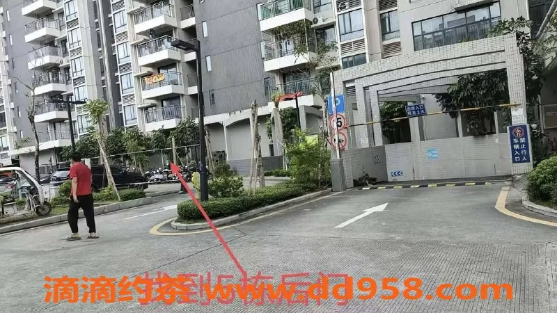 中山楼凤-中山火炬 300元快餐服务体验分享