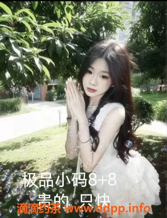 中山楼凤-江门外海10月16号400快餐享受