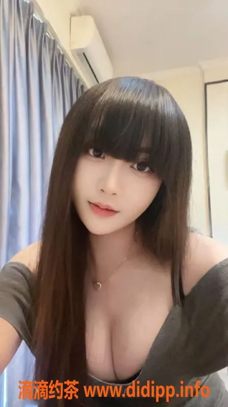 中山楼凤-沙溪高性价比服务，300元快餐等你来享