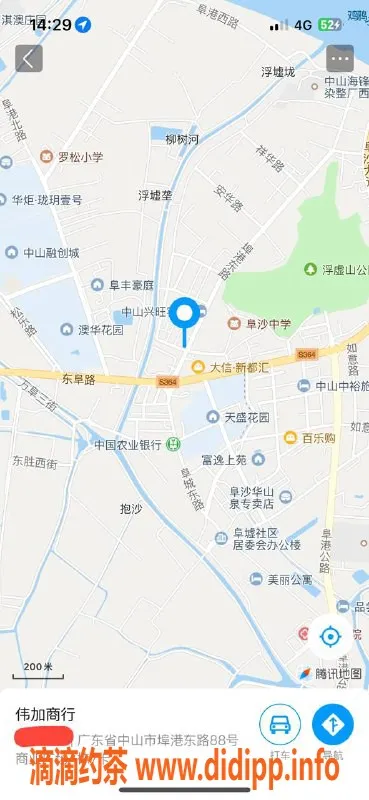 中山楼凤-埠沙区域优质洗吹服务，仅需300元起