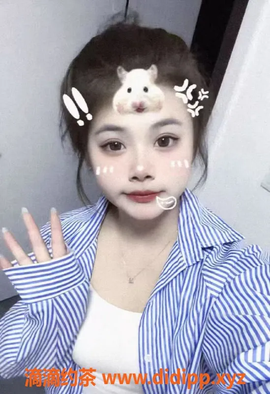 沈阳楼凤-哈尔滨熙宝，绿洲教师认证，600元服务