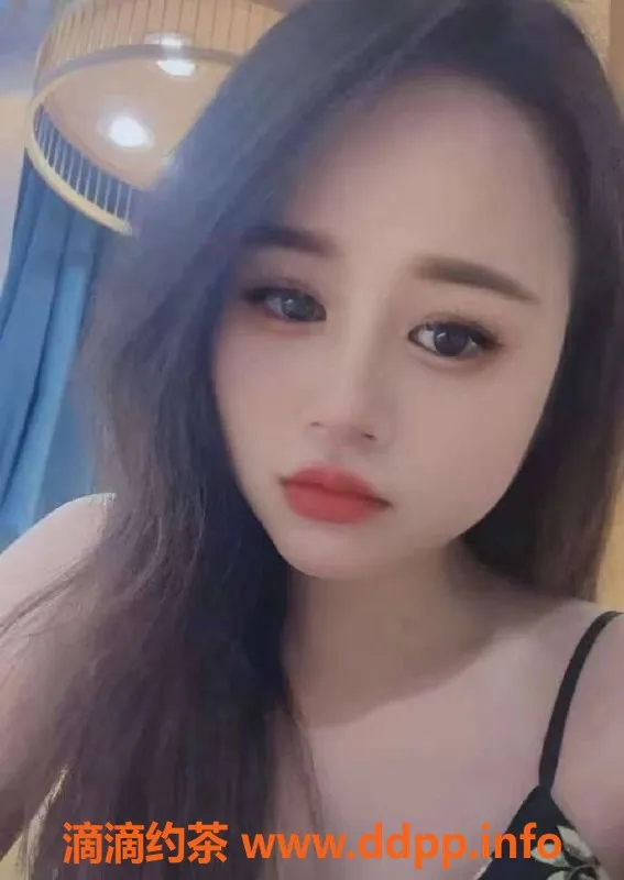 中山楼凤-江海地区优质快餐服务，价格实惠