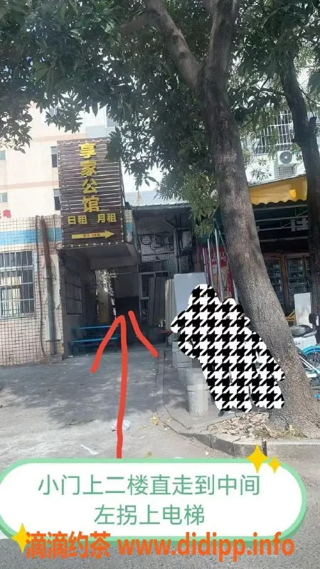 中山楼凤-江门江海热帖：300快餐+400洗吹服务等你来体验