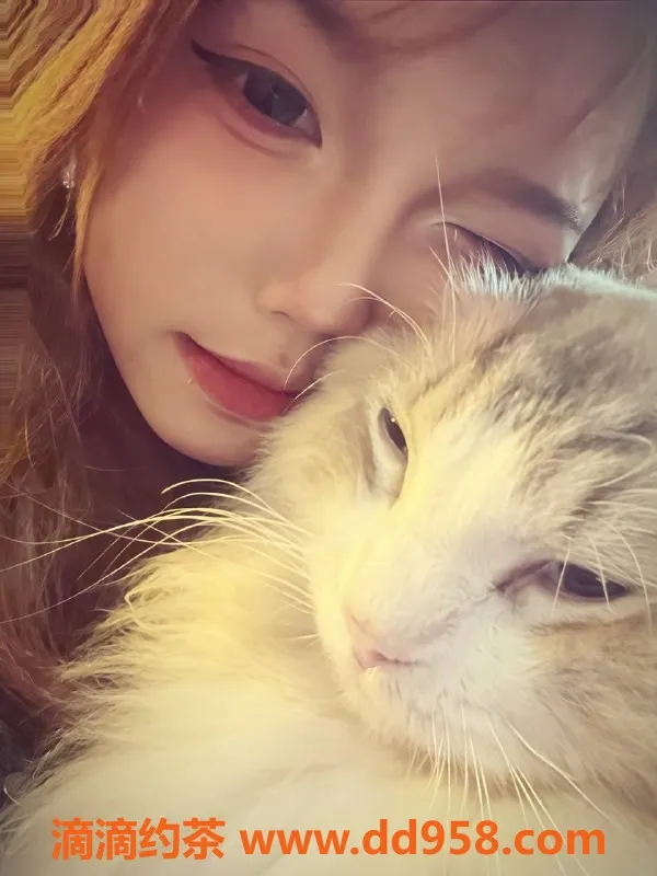 成都楼凤-成华区18岁妹子，155cm，83斤，C+胸型，亲密服务