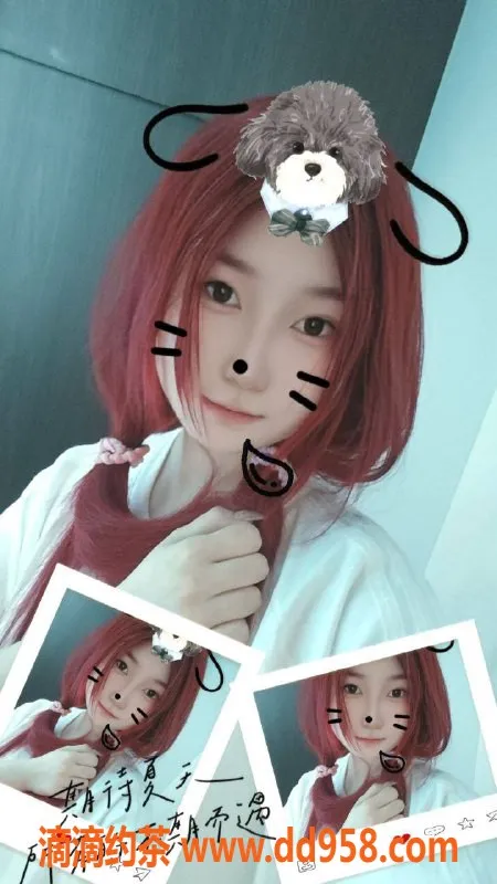 沈阳楼凤-服务态度超赞！六卷仅需800