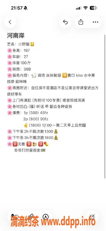 惠州楼凤-河南岸27岁小野猫，38B美胸，500元/课时