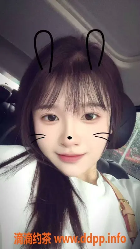 中山楼凤-南朗优质服务，快餐只需300元