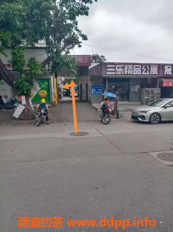 中山楼凤-蓬江11月上档次快餐小姐，300元起！