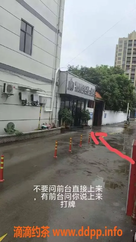 中山楼凤-民众地区优质服务，快餐只需300元