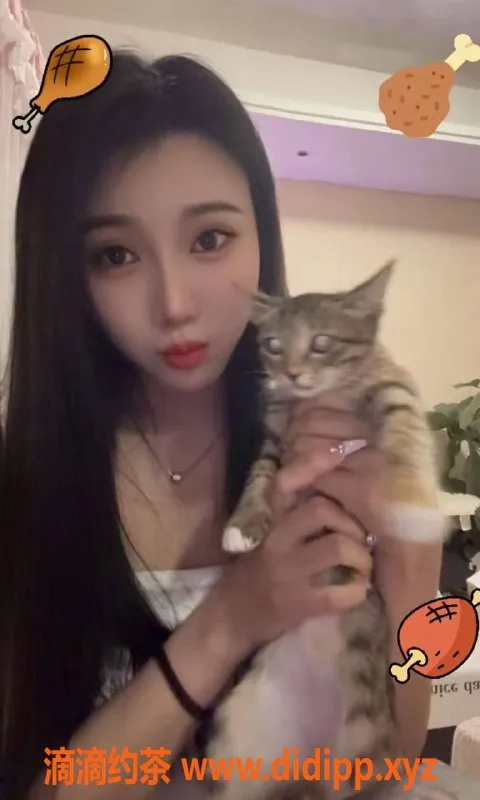 中山楼凤-南头11月11日快餐300，洗吹做400性价比高！