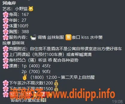 惠州楼凤-河南岸小野猫，27岁38B，400元/小时