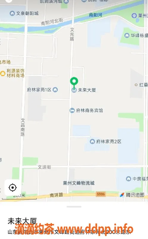 烟台楼凤-莱州未来大厦花儿，优质服务等你来体验