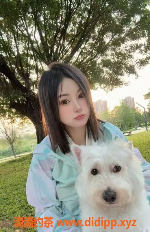 中山楼凤-小榄11月11日魅力女神，350快餐超值体验