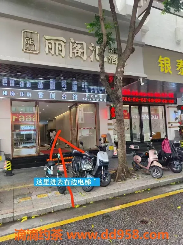 中山楼凤-小榄优雅小姐，洗吹仅需450元