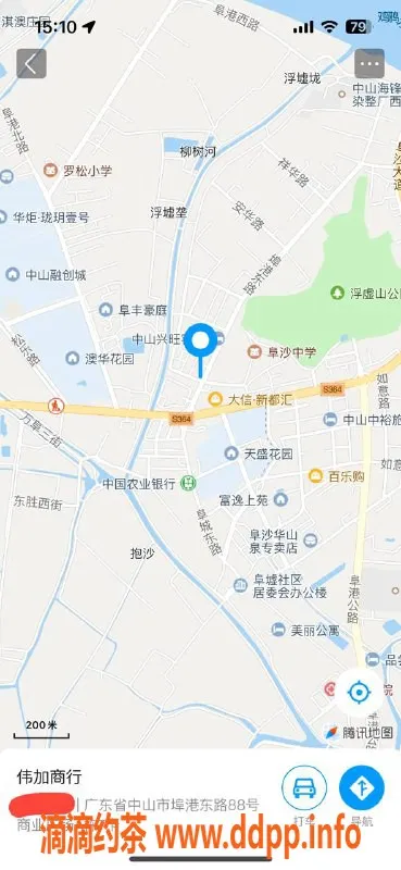 中山楼凤资源信息,埠沙高品质快餐服务，300元起