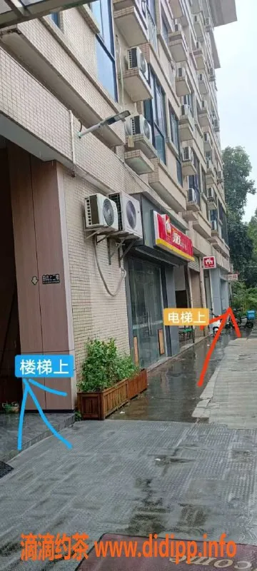 中山楼凤-古镇11月13日来访，洗吹做仅400元