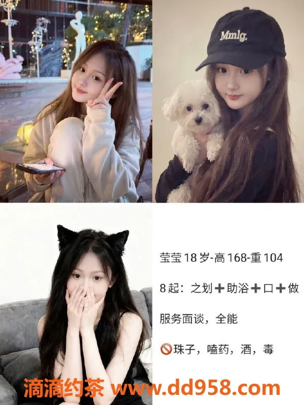 天津楼凤-静海区6房双向机器人服务详解