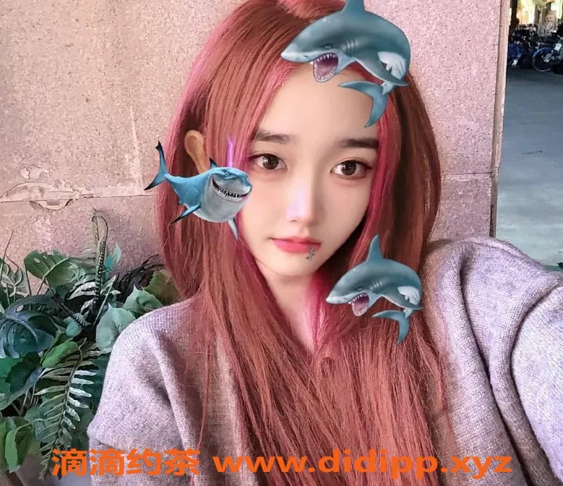 深圳楼凤-福田财月，超值服务仅需1000p！