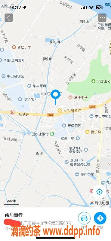 中山楼凤资源信息,埠沙11月16日，快餐300元，洗吹做400元