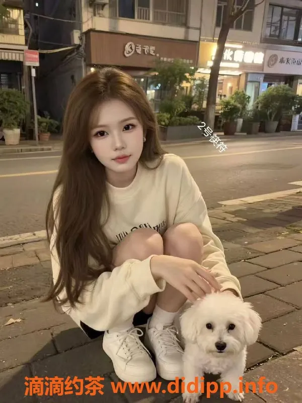 中山楼凤-古镇夜魅11月17日推荐，快餐350起