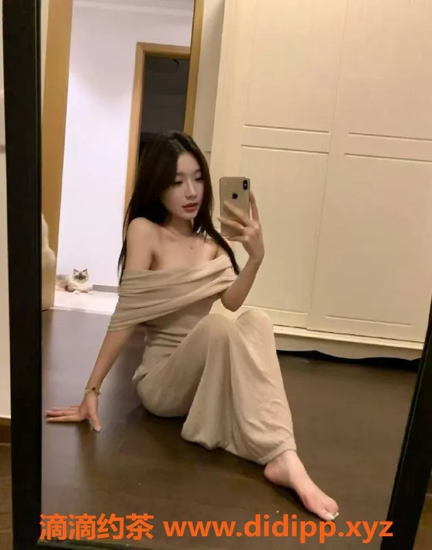 中山楼凤-西区高端快餐体验 300元起