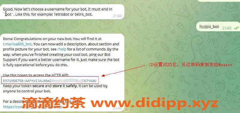 湛江楼凤-双向机器人制作指南，轻松上手！