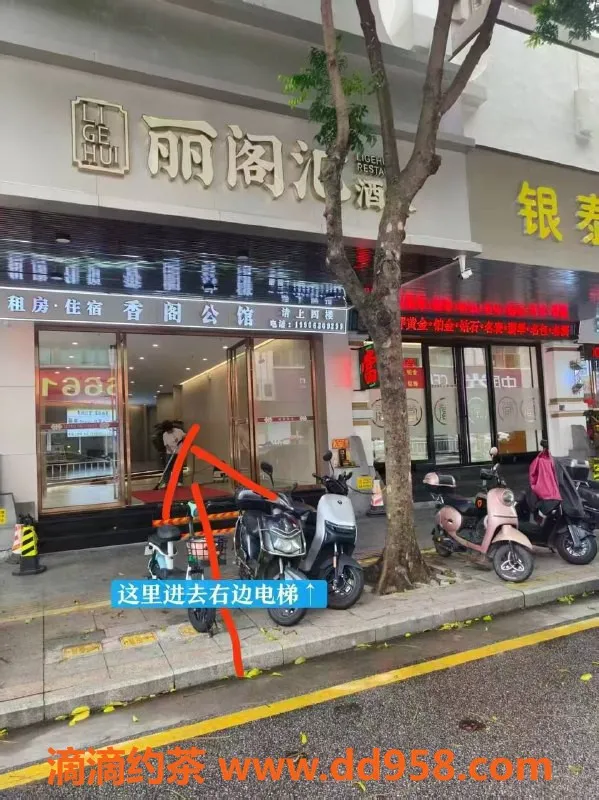 中山楼凤-小榄快餐350元，优质服务等你来享受！