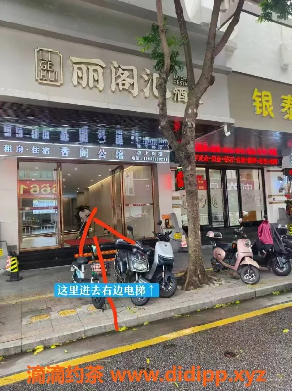 中山楼凤资源信息,小榄优质服务，洗吹做仅450元