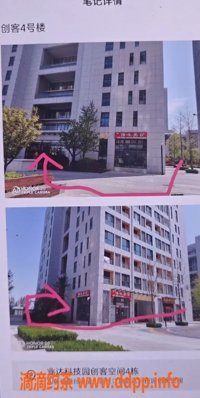 烟台楼凤-开发区辣条反馈服务，真心推荐！