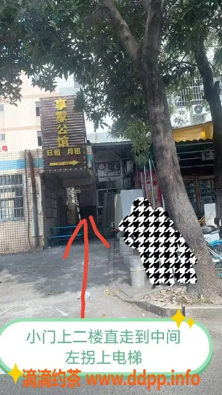 中山楼凤-江海区域优质服务，300元快餐等你来享