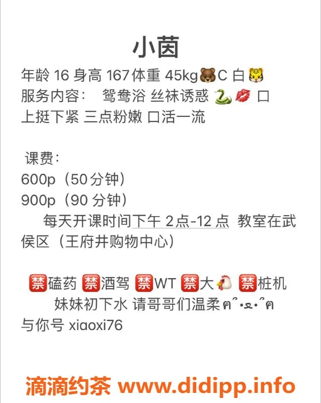 成都楼凤-成都小茵，16岁巨乳嫩妹，500元一次