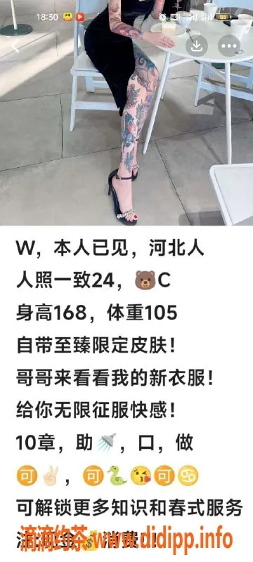 天津楼凤-南开奥城双房，舒适安静巧选择