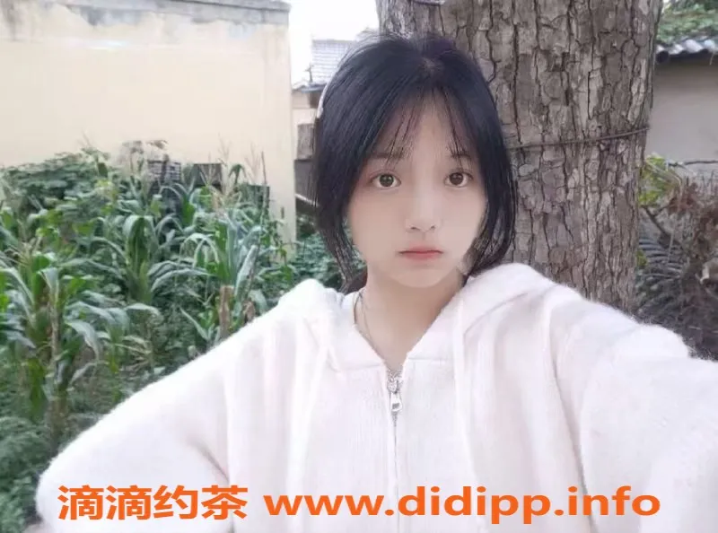 中山楼凤-东升新星，350快餐与450洗吹服务