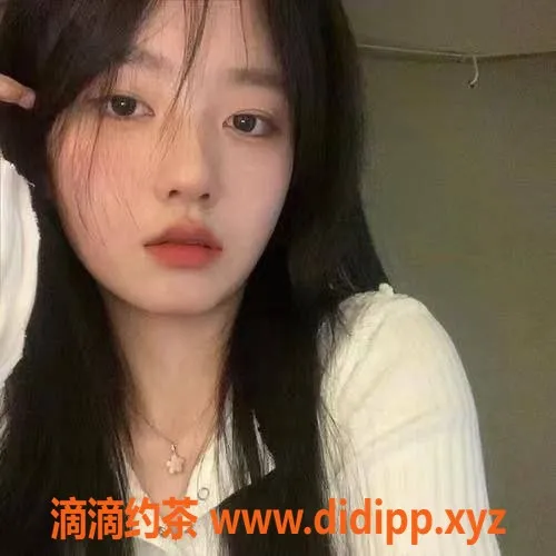 中山楼凤-江门江海地区优质服务，快餐仅300元