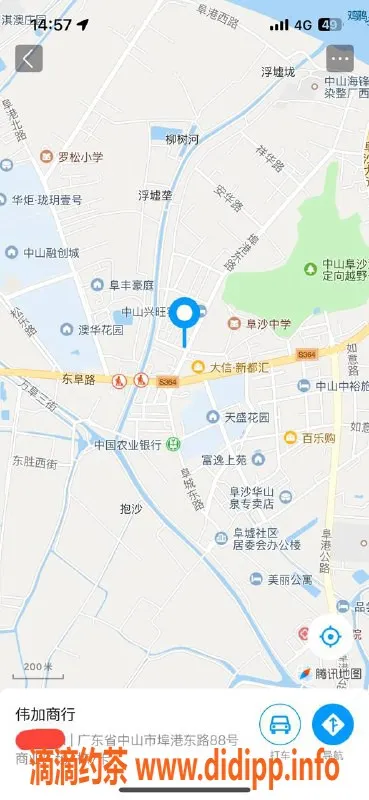中山楼凤资源信息,埠沙11月26日快餐400体验等你来