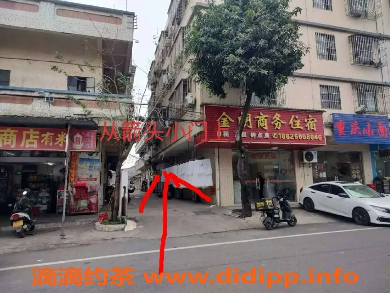 中山楼凤资源信息,蓬江优质服务，快餐300元洗吹400元