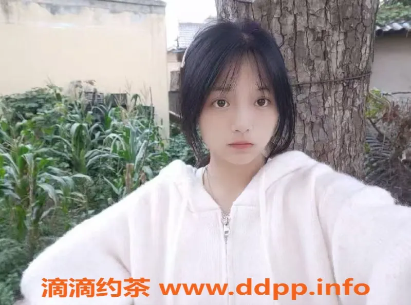 中山楼凤资源信息,东升区精品快餐服务限时上线！