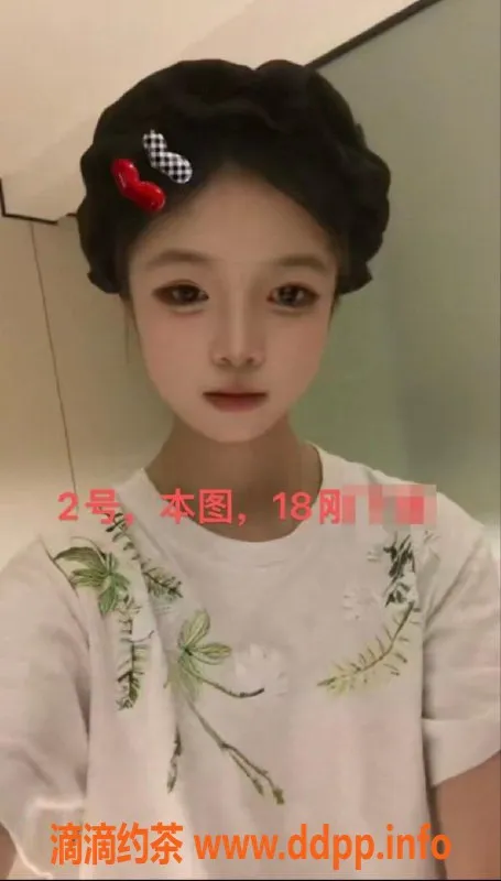 中山楼凤-东凤优质快餐，500元单次服务等你来体验！