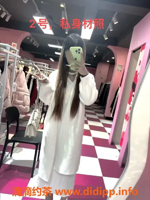 中山楼凤-东凤优质快餐，500元单次服务等你来体验！