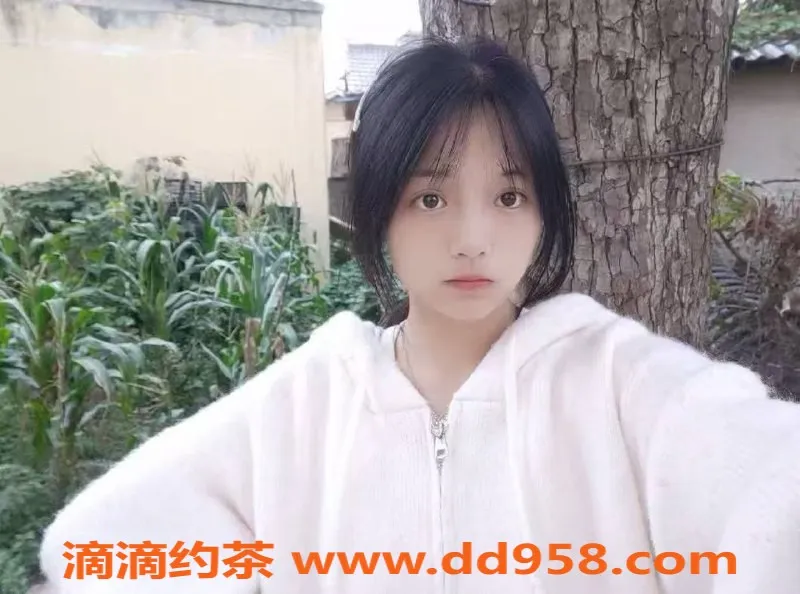 中山楼凤-东升地区高品质服务，350元快餐优惠