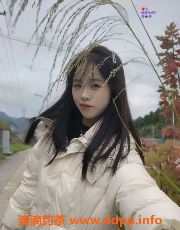 中山楼凤资源信息,东升地区高品质服务，350元快餐优惠