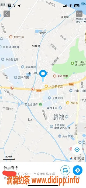 中山楼凤-埠沙新晋小姐，300元快餐体验等你来