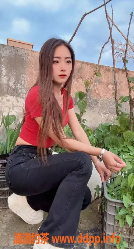 中山楼凤-西区美女，300元快餐，精致洗吹服务