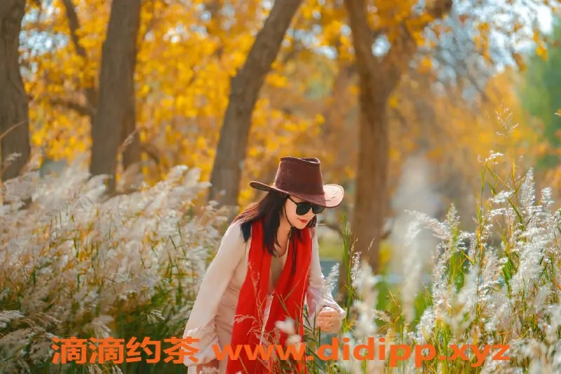 中山楼凤-丰盈：火炬课室 34B+ 私密服务体验