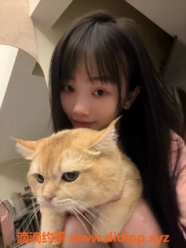 深圳楼凤资源信息,南山嫩妹瑶瑶，900P享制服诱惑